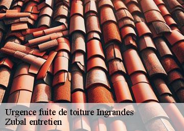 Urgence fuite de toiture 36300