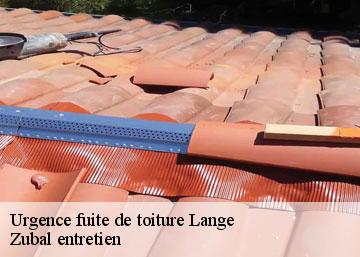 Urgence fuite de toiture lange-36600 Zubal entretien