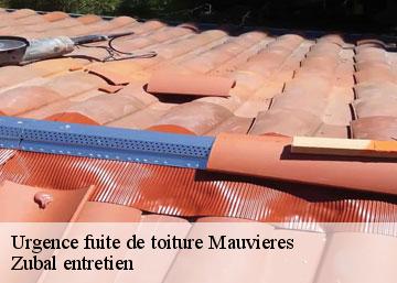 Urgence fuite de toiture mauvieres-36370 Zubal entretien