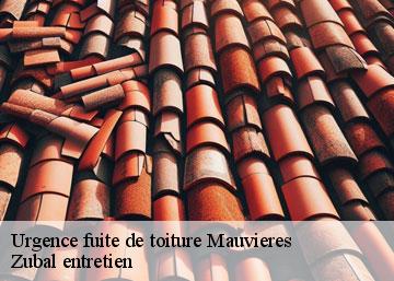 Urgence fuite de toiture 36370