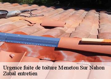 Urgence fuite de toiture menetou-sur-nahon-36210 Zubal entretien