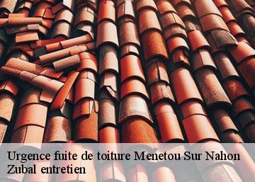 Urgence fuite de toiture 36210