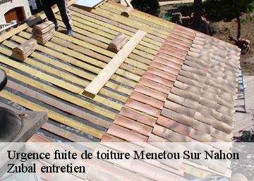 Urgence fuite de toiture