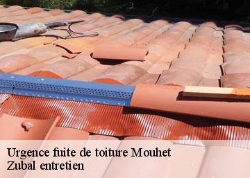 Urgence fuite de toiture mouhet-36170 Zubal entretien