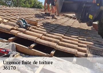 Urgence fuite de toiture 36170