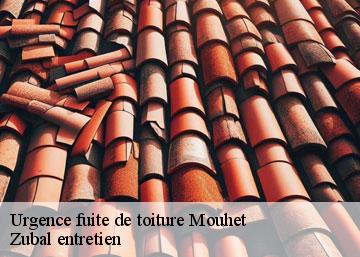 Urgence fuite de toiture 36170