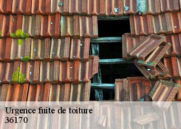 Urgence fuite de toiture