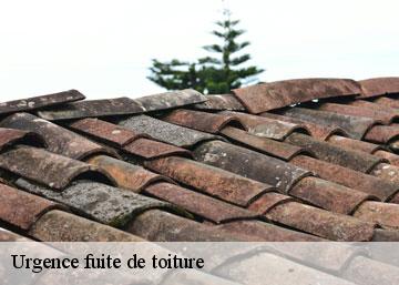 Urgence fuite de toiture 36170