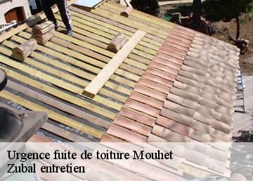 Urgence fuite de toiture