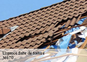 Urgence fuite de toiture 36170