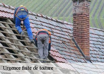 Urgence fuite de toiture