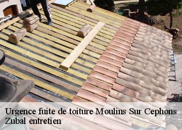 Urgence fuite de toiture