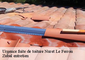 Urgence fuite de toiture nuret-le-ferron-36800 Zubal entretien