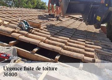 Urgence fuite de toiture 36800