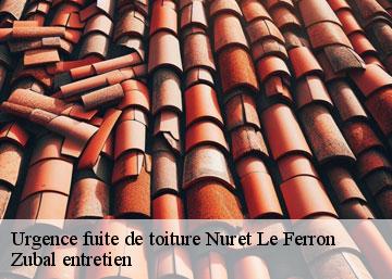 Urgence fuite de toiture 36800