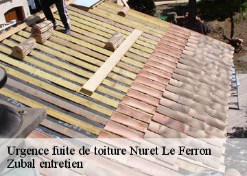 Urgence fuite de toiture