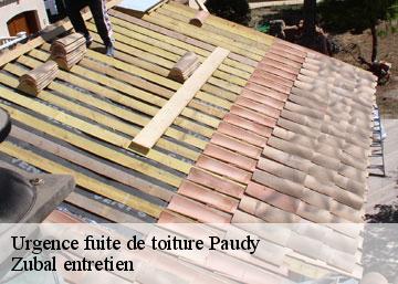 Urgence fuite de toiture