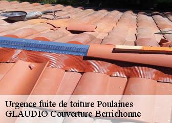 Urgence fuite de toiture 36210