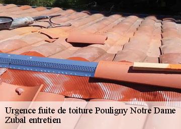 Urgence fuite de toiture pouligny-notre-dame-36160 Zubal entretien