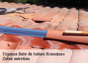Urgence fuite de toiture roussines-36170