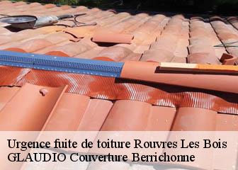 Urgence fuite de toiture 36110