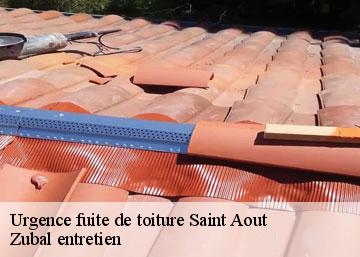 Urgence fuite de toiture saint-aout-36120 Zubal entretien