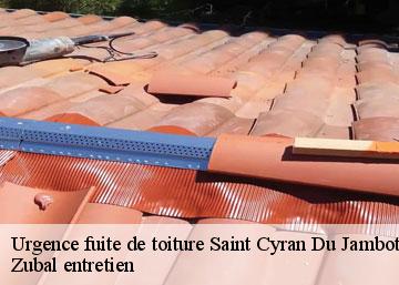 Urgence fuite de toiture saint-cyran-du-jambot-36700 Zubal entretien