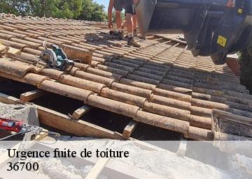 Urgence fuite de toiture 36700