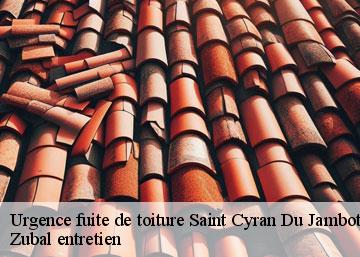 Urgence fuite de toiture 36700