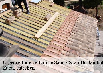 Urgence fuite de toiture