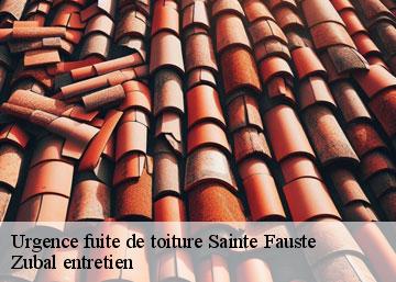 Urgence fuite de toiture  36100