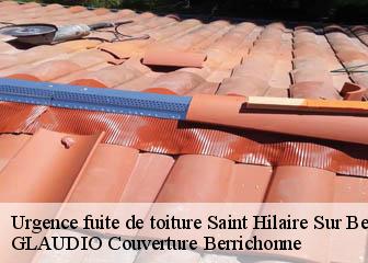 Urgence fuite de toiture  36370