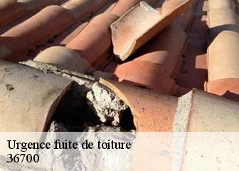Urgence fuite de toiture 36700