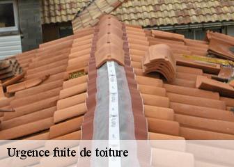 Urgence fuite de toiture 36700
