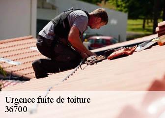 Urgence fuite de toiture 36700