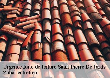 Urgence fuite de toiture  36260