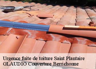 Urgence fuite de toiture 36190