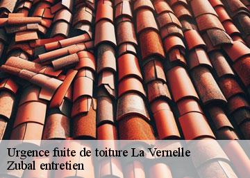 Urgence fuite de toiture  36600