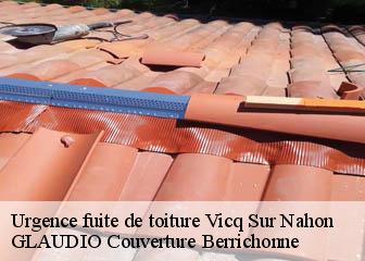 Urgence fuite de toiture 36600