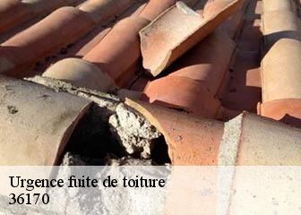 Urgence fuite de toiture 36170