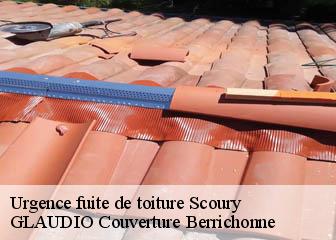 Urgence fuite de toiture 36300
