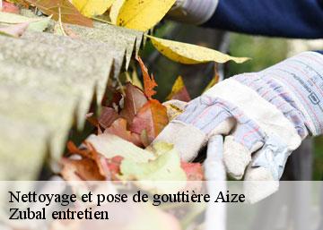 Nettoyage et pose de gouttière  36150