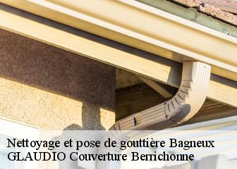 Nettoyage et pose de gouttière 36210