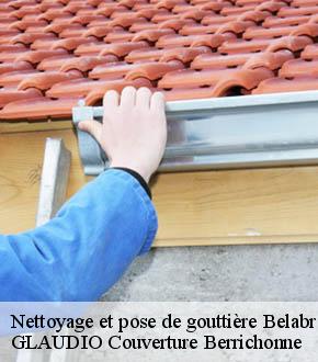 Nettoyage et pose de gouttière  belabre-36370 Couverture 36