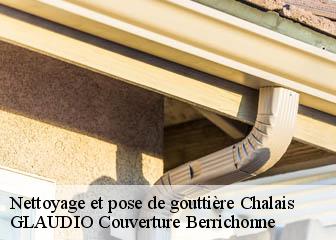 Nettoyage et pose de gouttière 36370