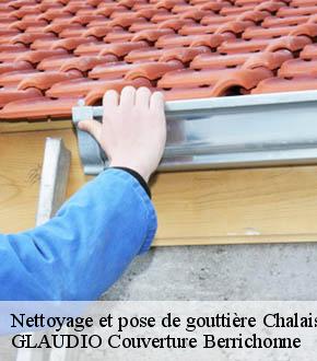 Nettoyage et pose de gouttière chalais-36370