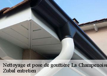 Nettoyage et pose de gouttière  la-champenoise-36100 Zubal entretien