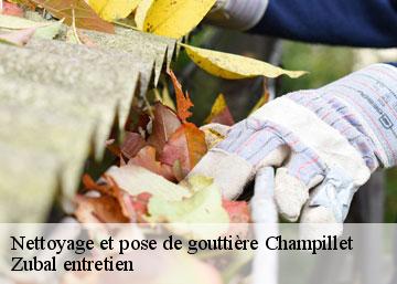 Nettoyage et pose de gouttière 36160