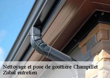 Nettoyage et pose de gouttière