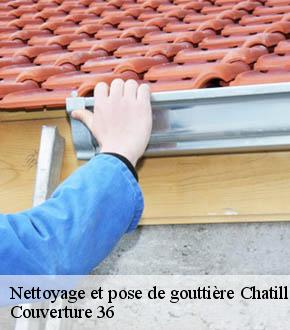 Nettoyage et pose de gouttière  chatillon-sur-indre-36700 Couverture 36